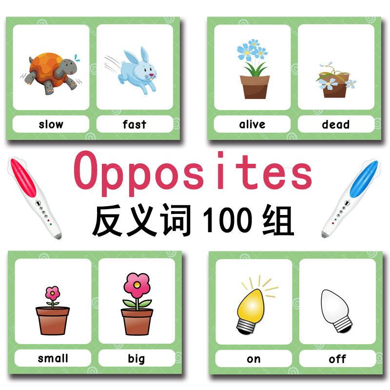 แฟลชการ์ดคำศัพท์ภาษาอังกฤษ 100 - Kids Education Toys บทวิจารณ์และราคา