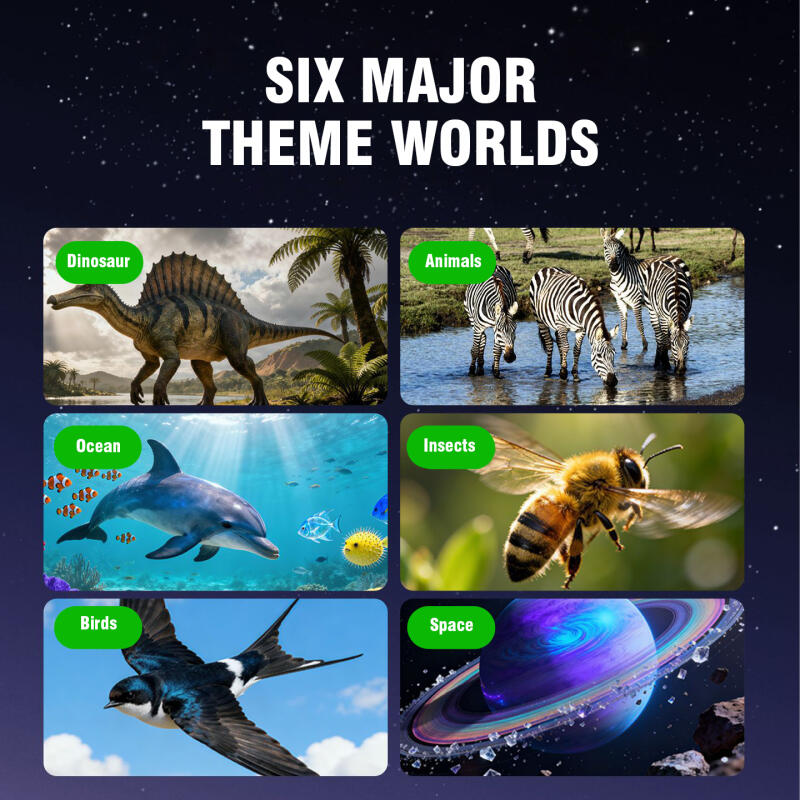 เครื่องฉายภาพสามมิติแบบสเตอริโ - Kids Education Reels บทวิจารณ์และราคา