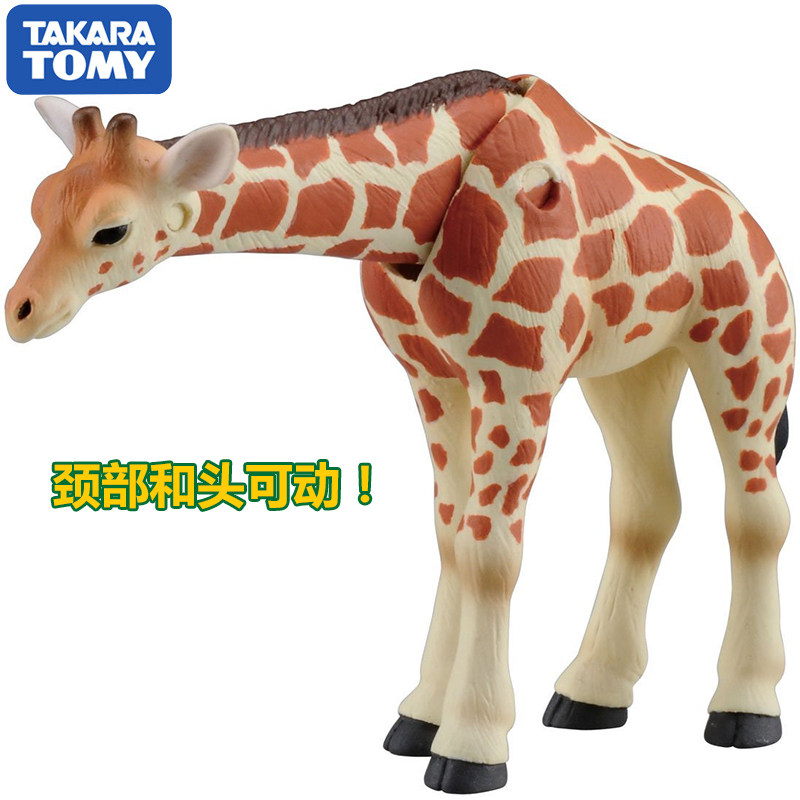 ตุ๊กตาสัตว์ป่าสีสันสดใส ยี่ห้อ - Kids First Education บทวิจารณ์และราคา