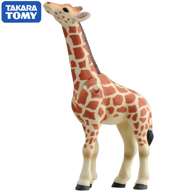 ตุ๊กตาสัตว์ป่าสีสันสดใส ยี่ห้อ - Kids First Education บทวิจารณ์และราคา